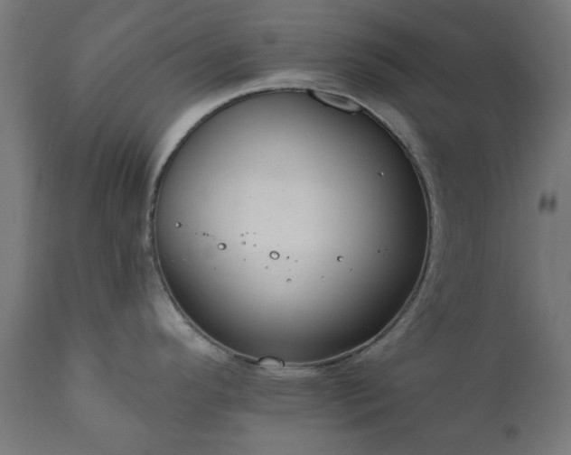 X0000111831296200907301311