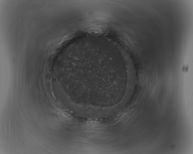X0000111831297200907301310