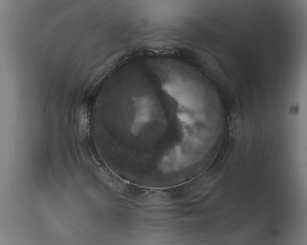 X0000111831298200907301310