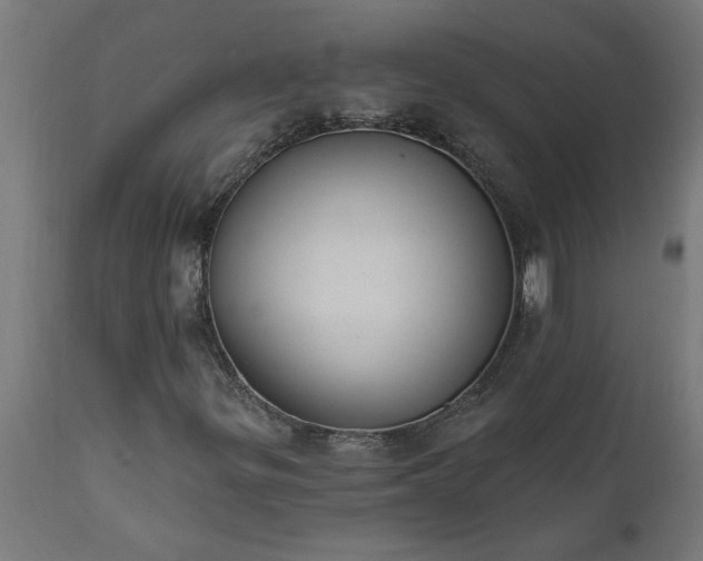 X0000111831299200907301310