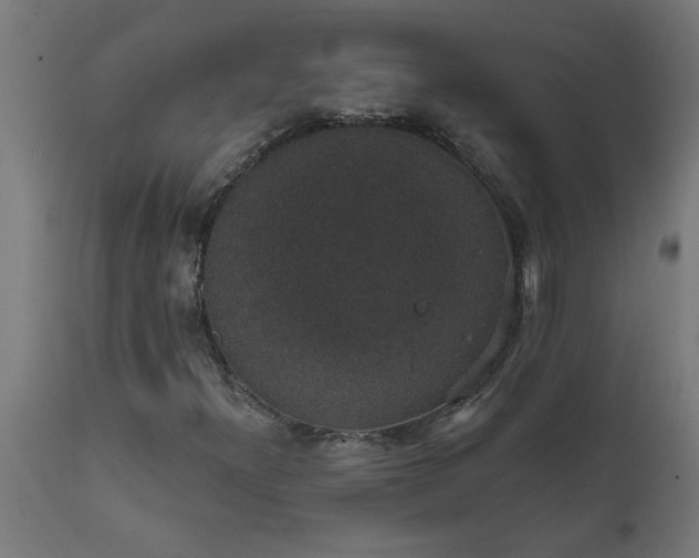 X0000111831300200907301310