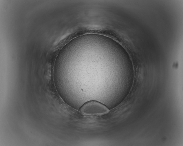 X0000111831301200907301310