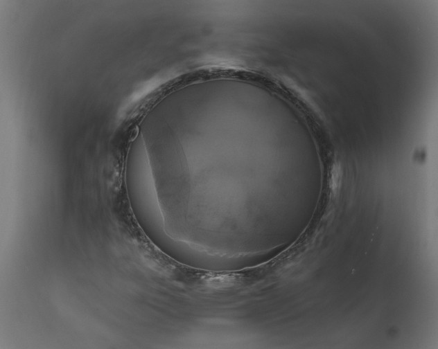 X0000111831303200907301310