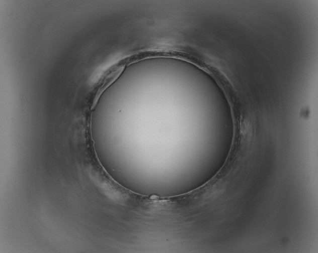 X0000111831304200907301310