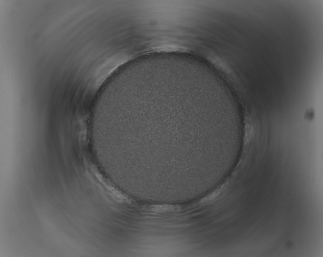 X0000111831305200907301310