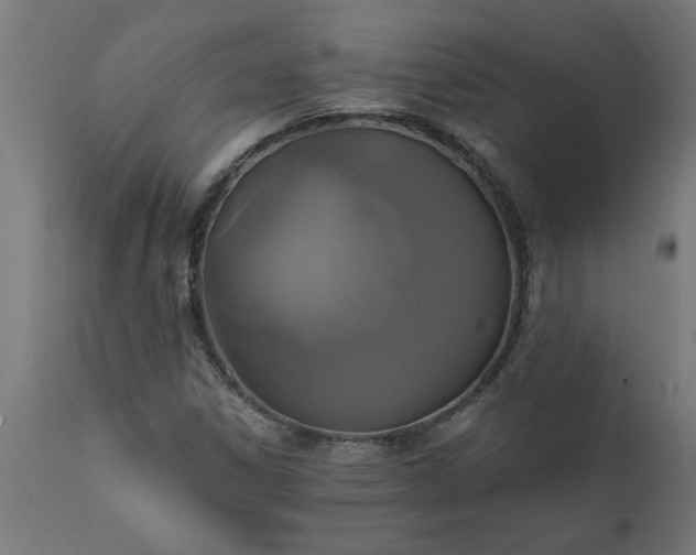 X0000111831306200907301310