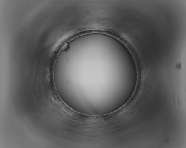 X0000111831307200907301310