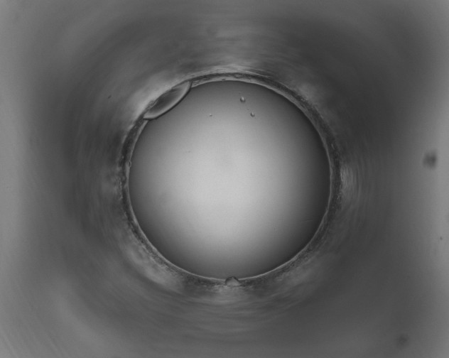 X0000111831308200907301310