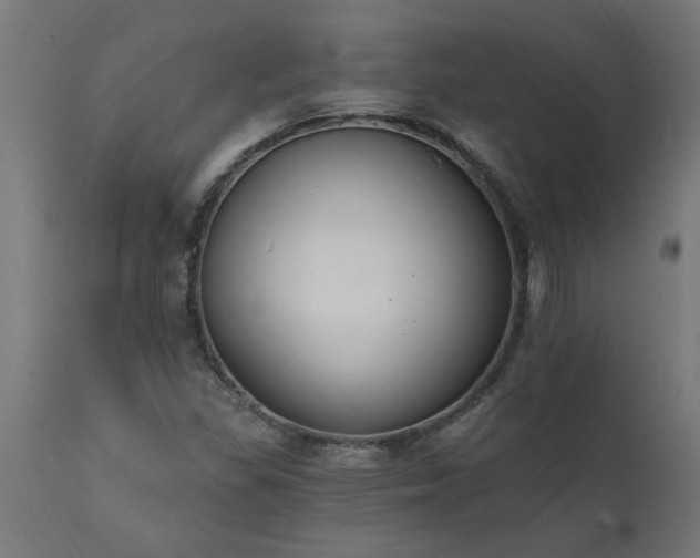 X0000111831309200907301310