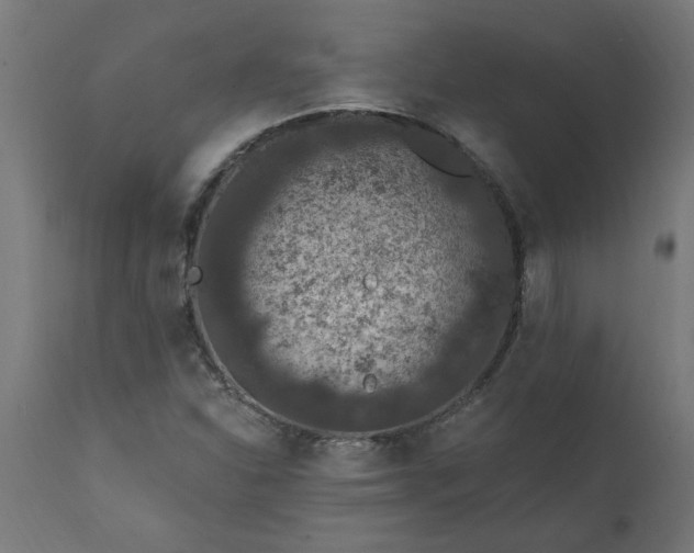 X0000111831310200907301310