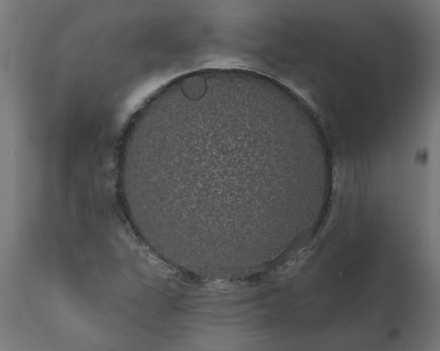 X0000111831311200907301310