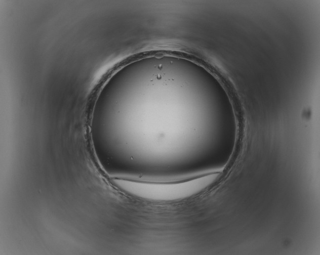 X0000111831312200907301310