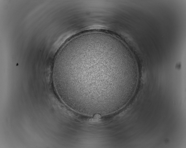 X0000111831313200907301310