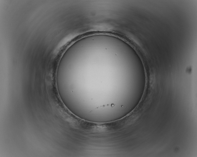 X0000111831315200907301310