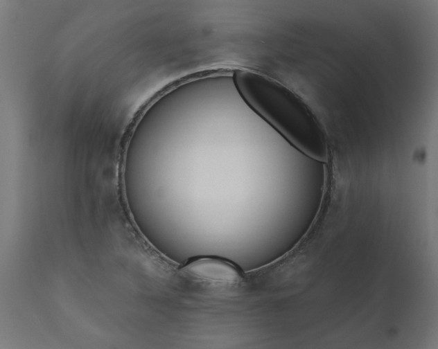 X0000111831316200907301310