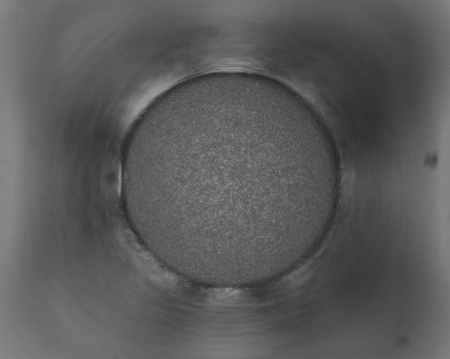 X0000111831317200907301310
