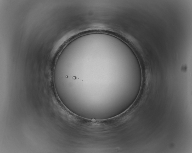 X0000111831318200907301310
