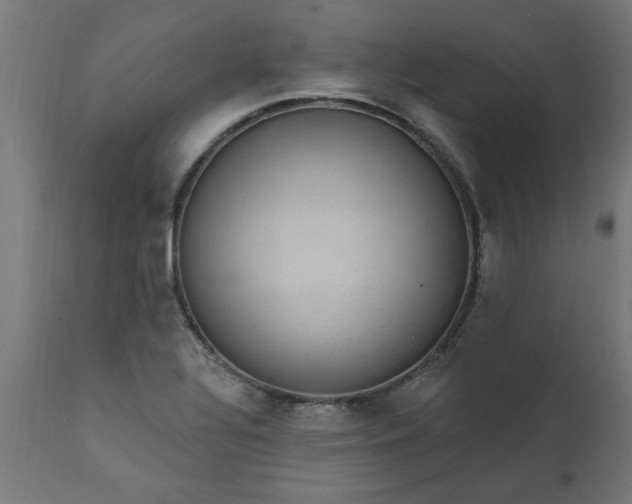 X0000111831320200907301310