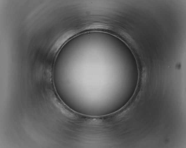 X0000111831321200907301310