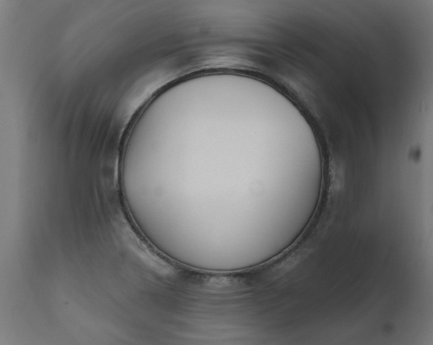 X0000111831322200907301310