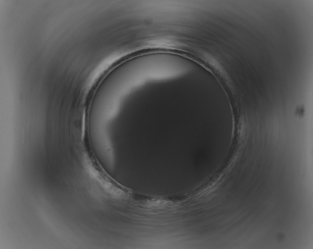 X0000111831323200907301310