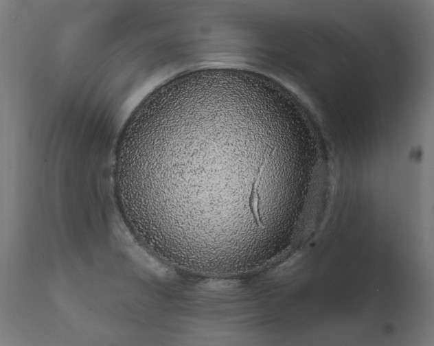 X0000111831325200907301310