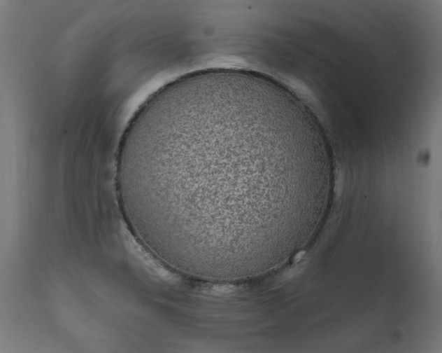 X0000111831326200907301310