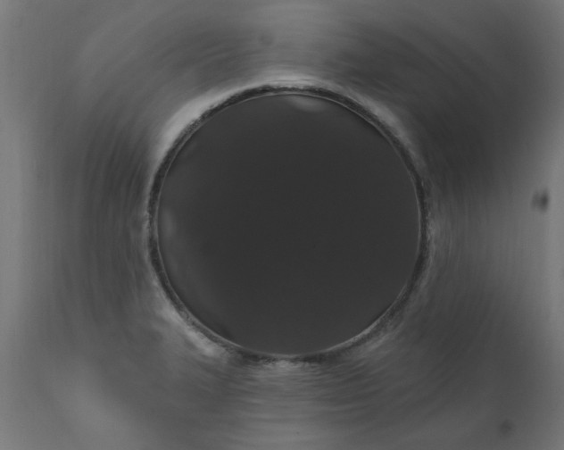 X0000111831327200907301310