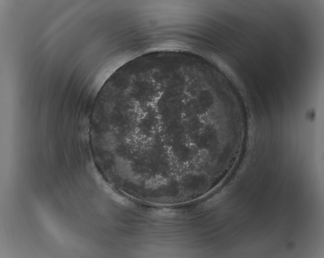 X0000111831329200907301310