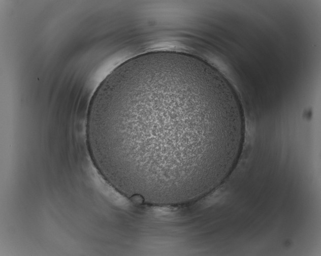 X0000111831330200907301310