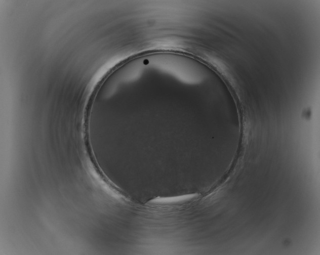 X0000111831331200907301310