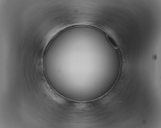 X0000111831332200907301311