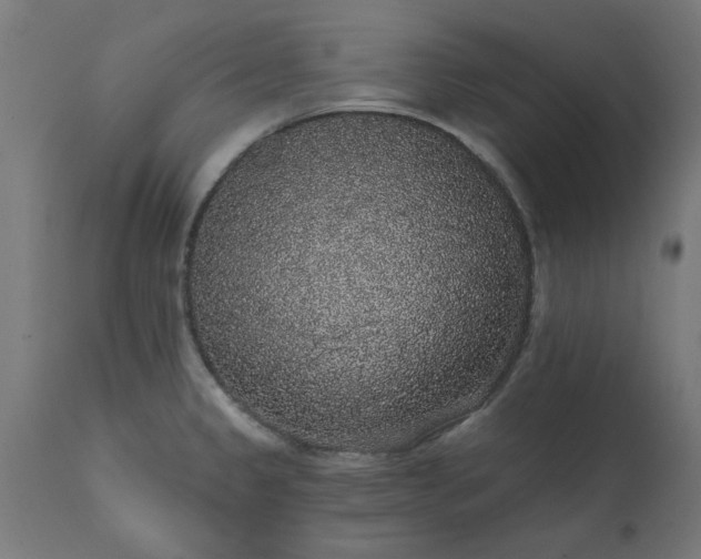 X0000111831333200907301311