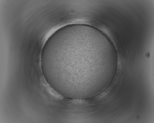 X0000111831336200907301311