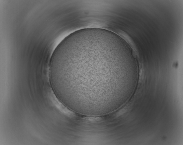 X0000111831340200907301311