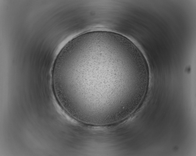 X0000111831341200907301311