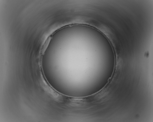 X0000111831342200907301311
