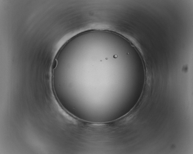 X0000111831343200907301311