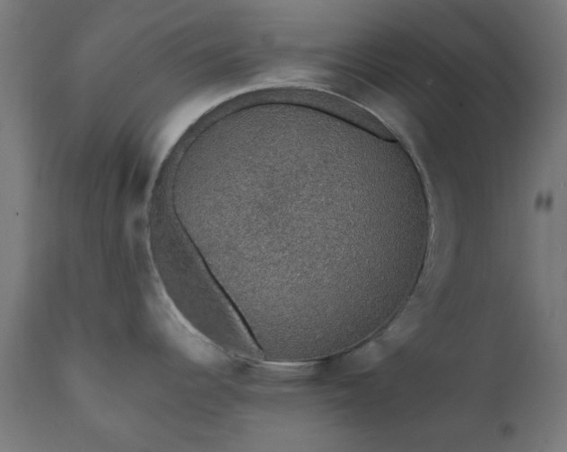 X0000111831344200907301311