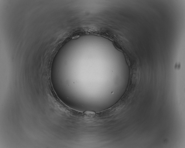 X0000111831345200907301310