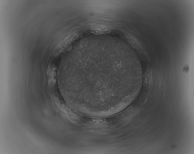 X0000111831346200907301310