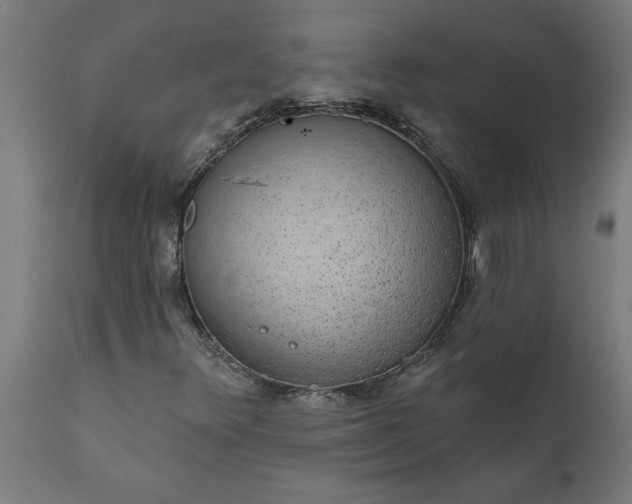 X0000111831348200907301310