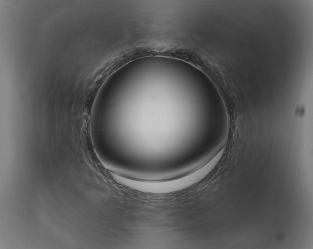 X0000111831349200907301310