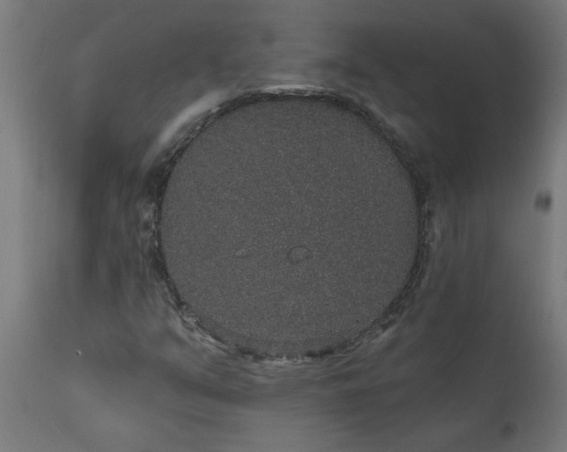 X0000111831351200907301310
