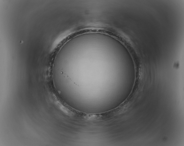 X0000111831352200907301310