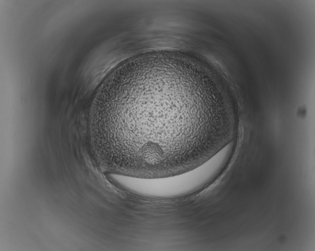 X0000111831353200907301310