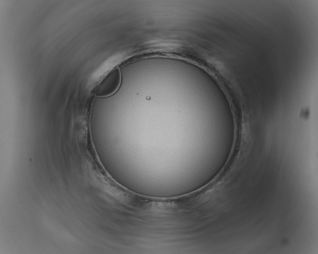 X0000111831354200907301310