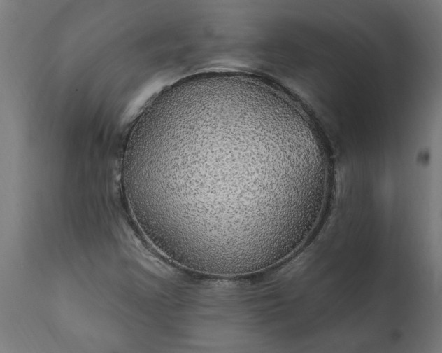 X0000111831355200907301310