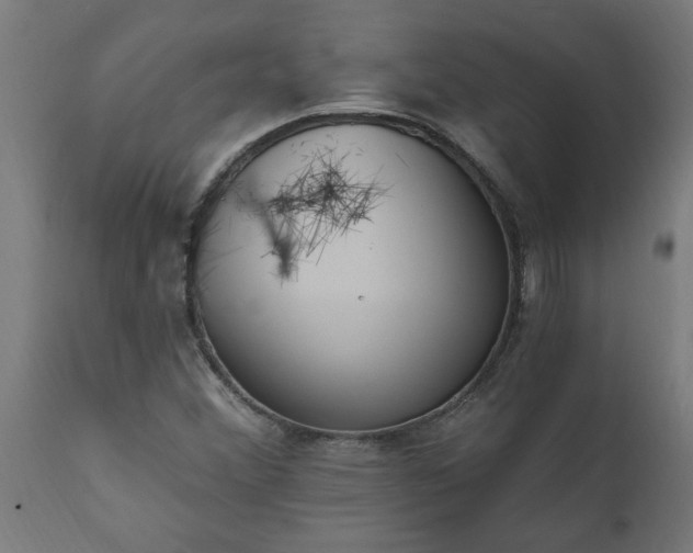 X0000111831356200907301310
