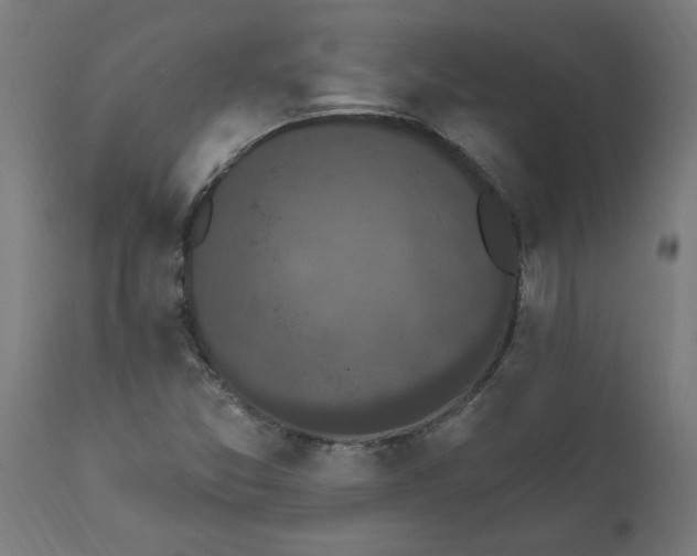 X0000111831357200907301310